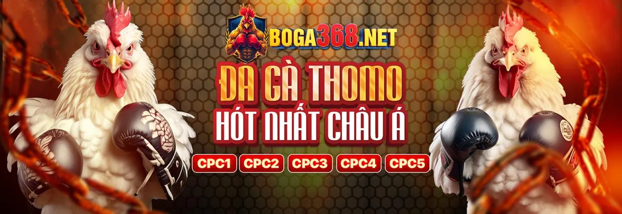 Các chiến lược cá cược hiệu quả